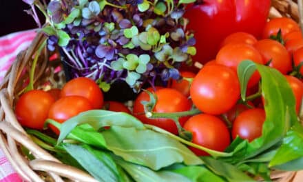 Biokert – stresszoldó zöldségek az asztalunkon