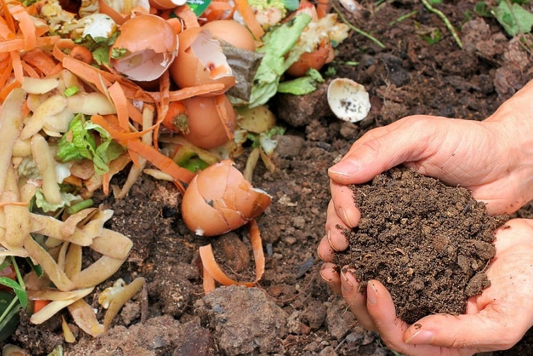 Biokert, kiskert - a talajjavítás komposztálással megoldható.