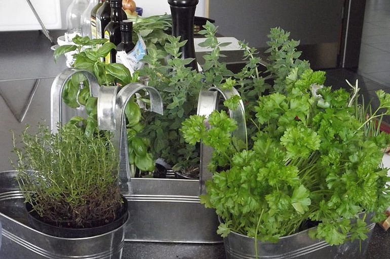 Tavasz - a konyhában élő fűszernövényeket helyezhetünk el.