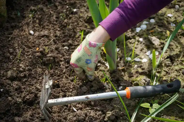 Májusban a kert gondozása meghatározza a nyári termést és esztétikát.